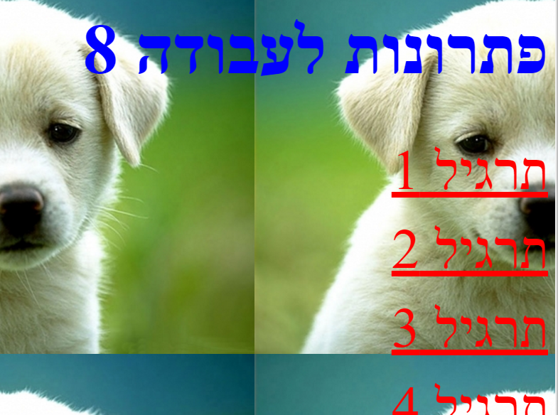 the picture is missing,check path